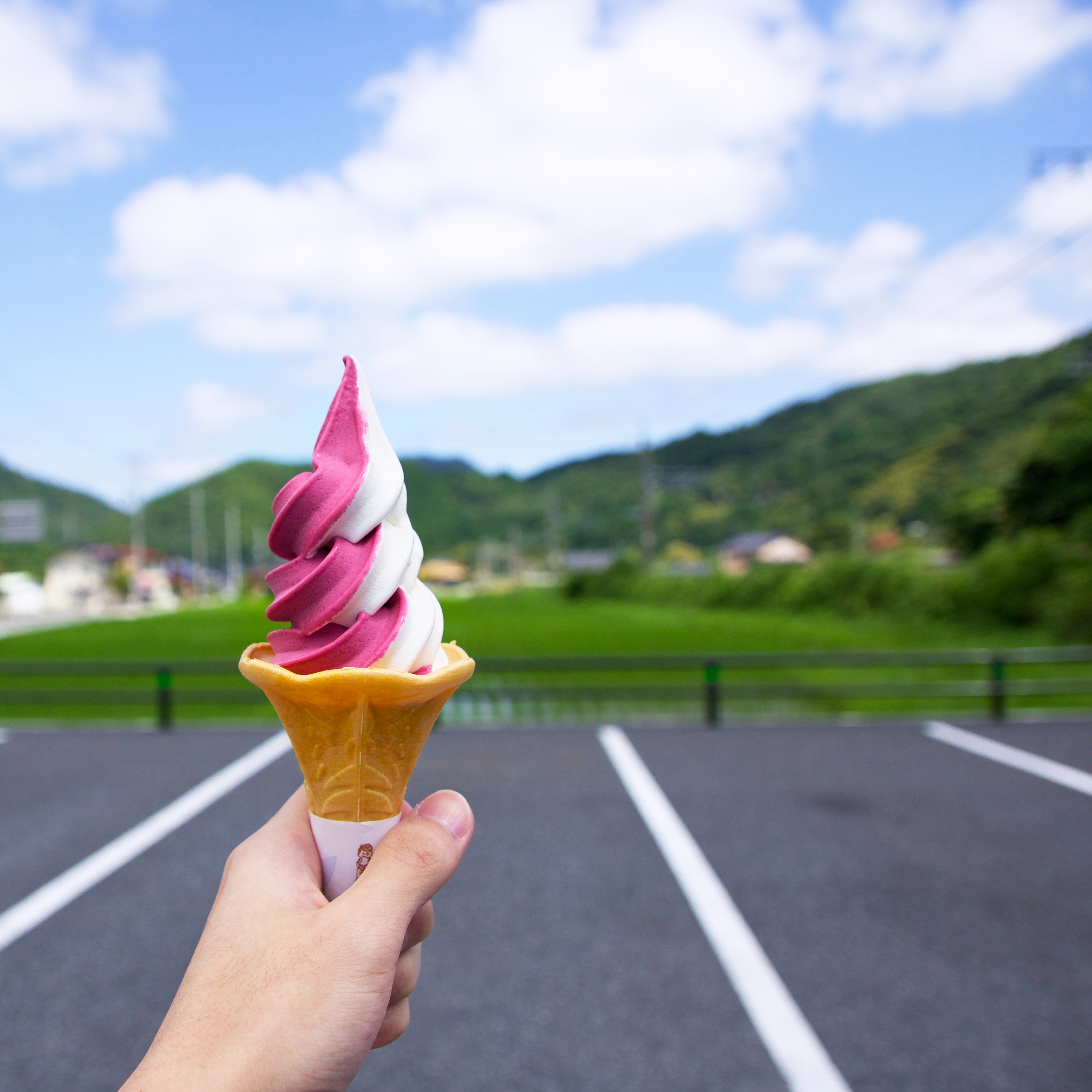 High Country Top 5 Ice Cream Shoppes