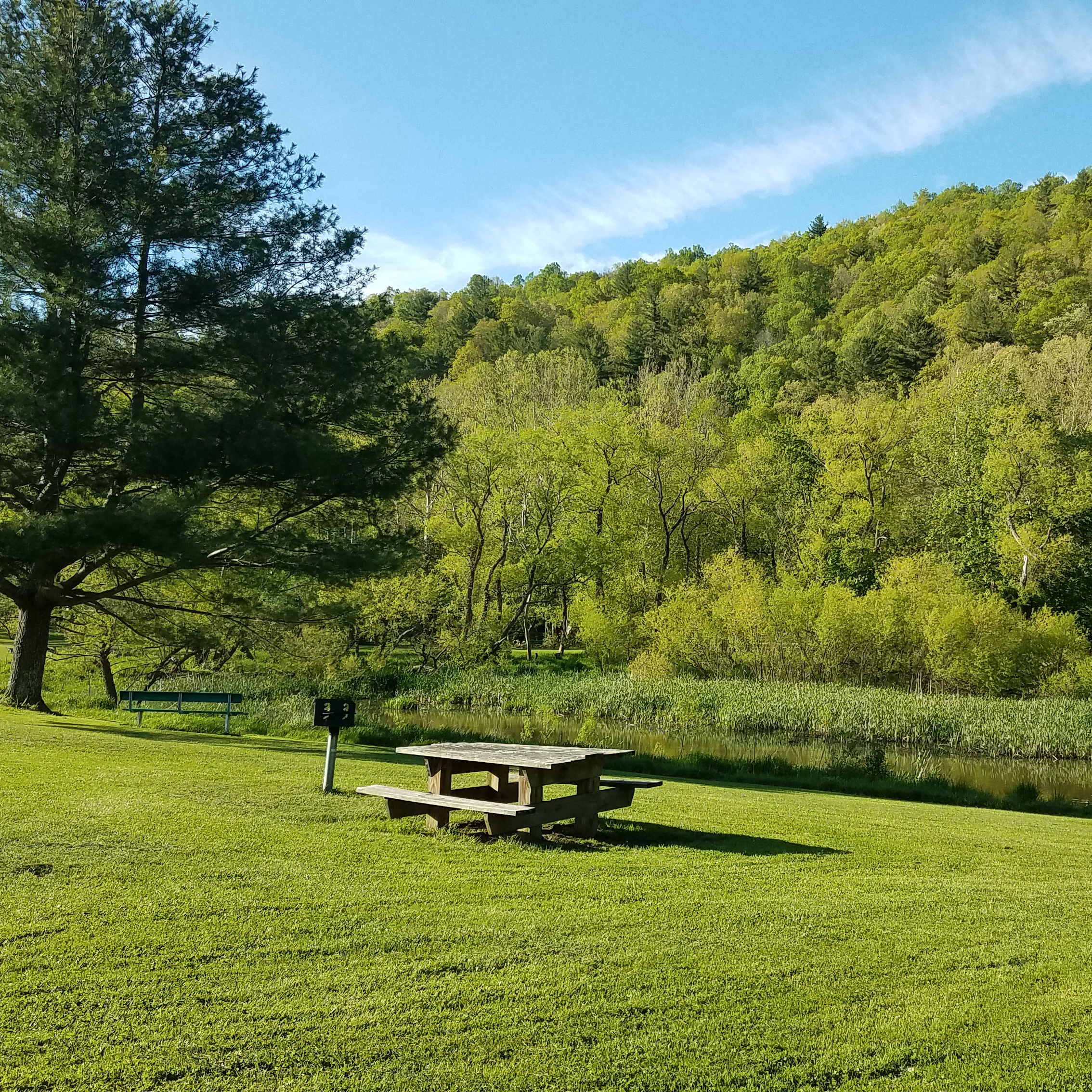 Picnic In Park