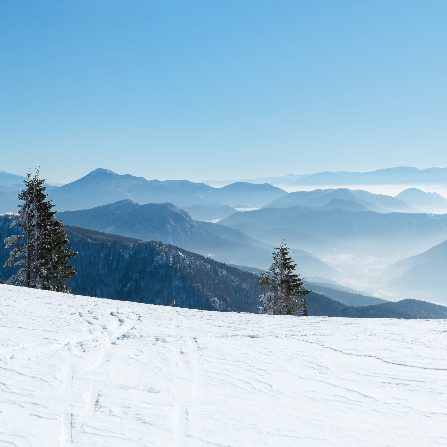 High Country NC WINTER 2021 Openings & Closures