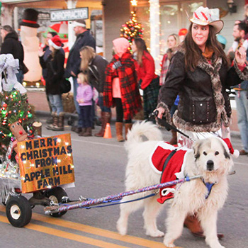 Banner Elk NC Christmas