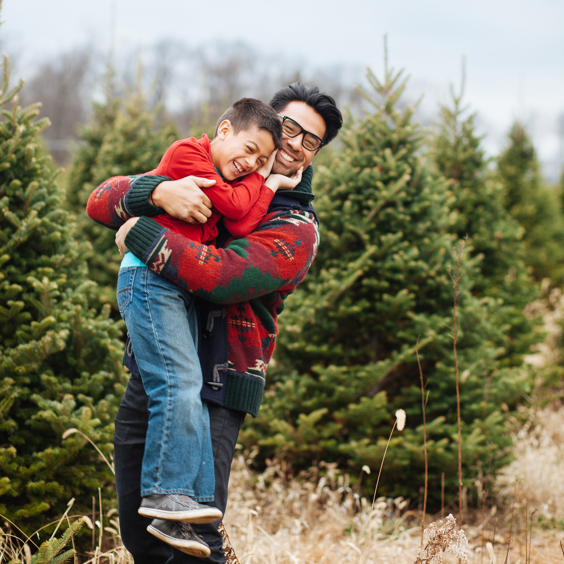 High Country Choose & Cut Christmas Trees