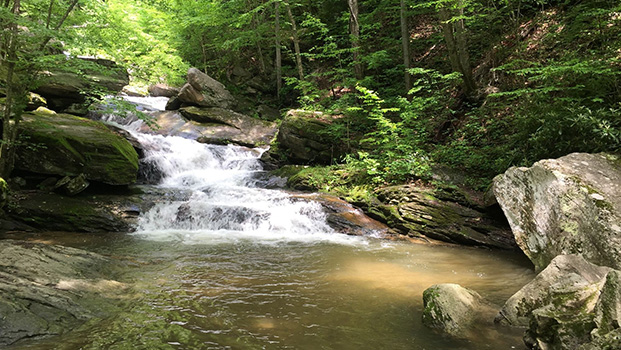 Crab Orchard Falls Valle Crucis NC