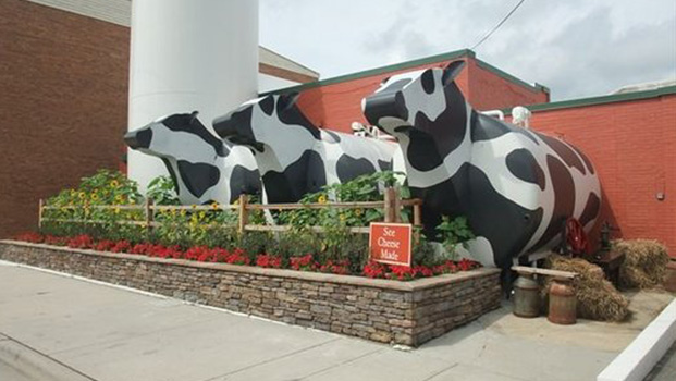 Ashe County Cheese Factory Viewing Room