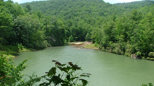 Buckeye Lake Beech Mountain