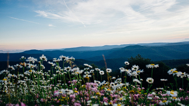 Cumberland Knob Blue Ridge Parkway