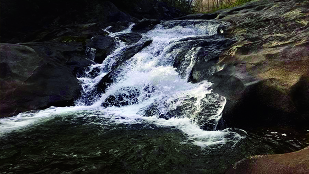 Falls on Cragg Prong Wilson Creek NC