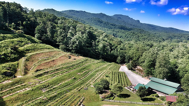 Grandfather Vineyard and Winery NC