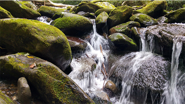 Julian Price Park Blue Ridge Parkway