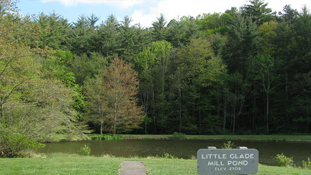 Little Glade Pond Blue Ridge Parkway
