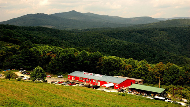 Orchard at Altapass Blue Ridge Parkway