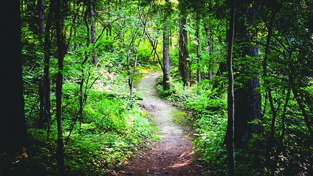 Rocky Knob Park Boone NC