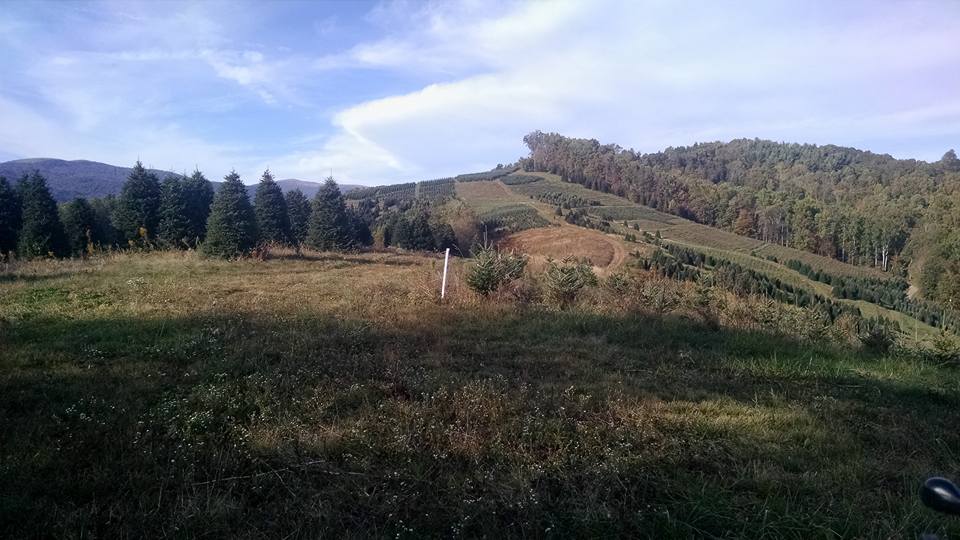 Sugar Plum Tree Farm Banner Elk NC