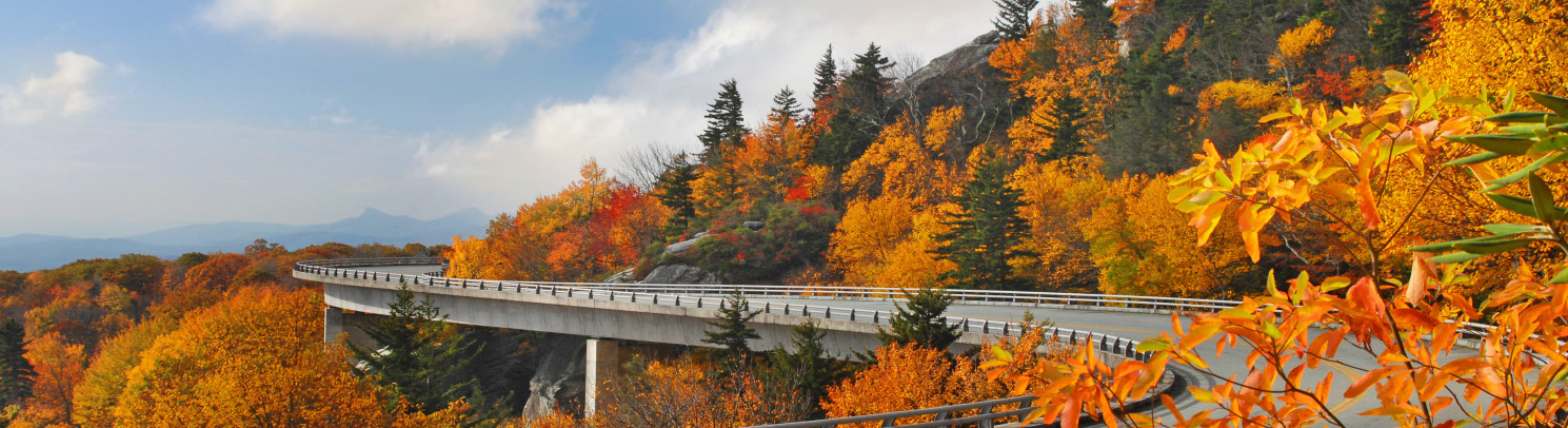 Fall Travel Guide
